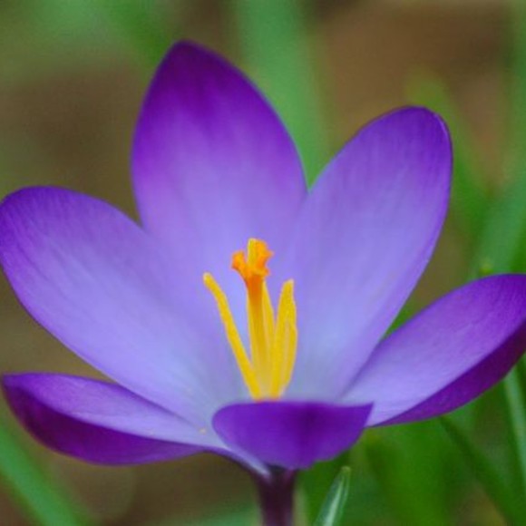 Meet your Posher, Becky - Picture 1 of 1